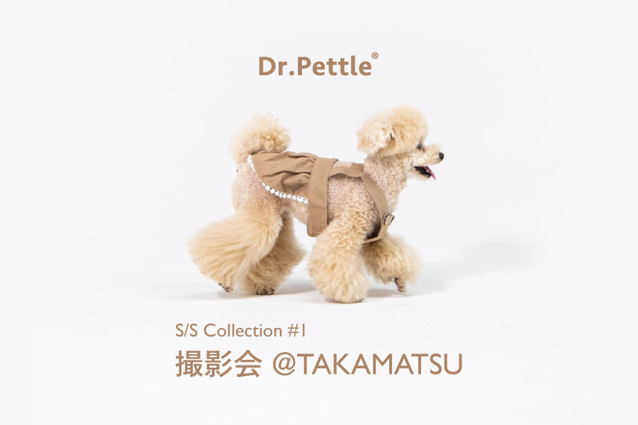 Dr.Pettle-狗用品撮影会＠高松