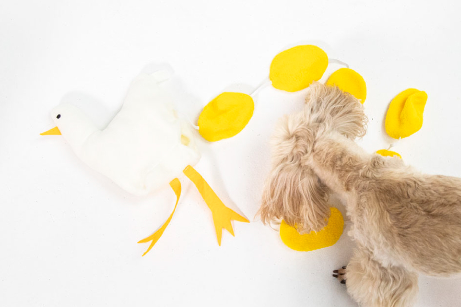 おすすめの犬用ノーズワークおもちゃ