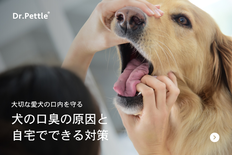 犬の口臭の原因と対処法
