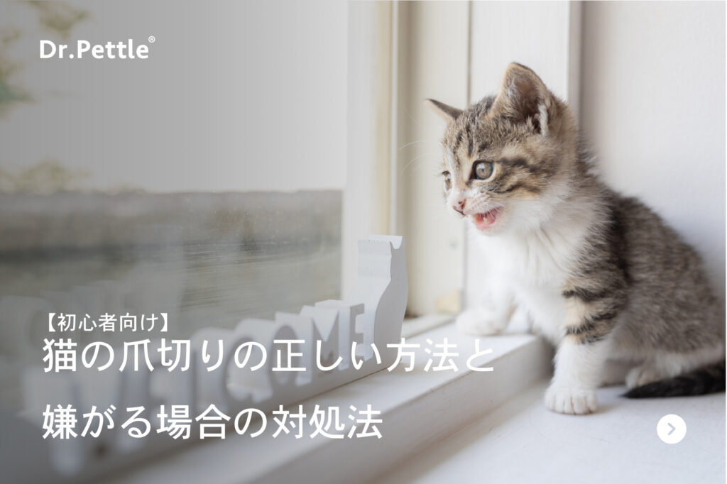 猫の爪切りの仕方と嫌がる場合の対処法