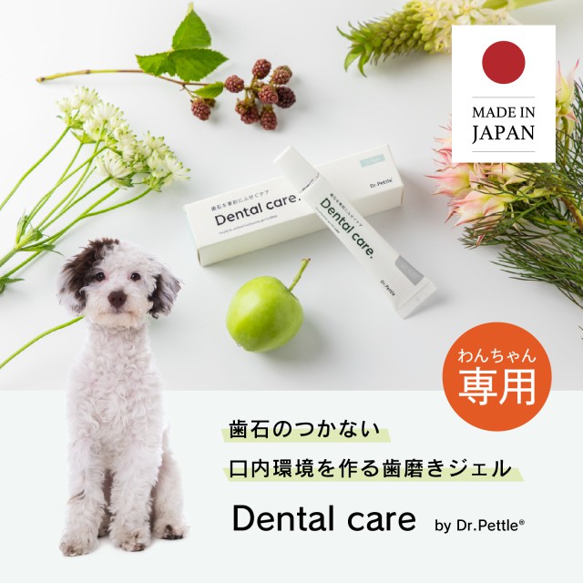 犬専用歯磨き粉 Dental care