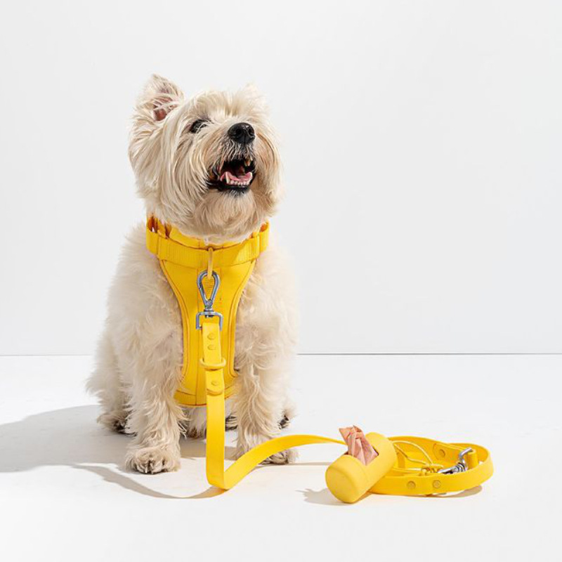 ◆Dr. Pettle◆犬用 ハーネス＆リード　セット【PINK/Sサイズ】
