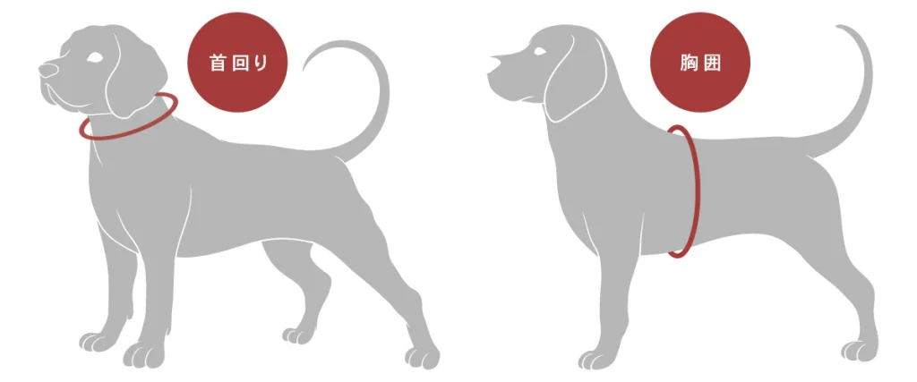 犬のハーネスサイズの測り方、サイズ表